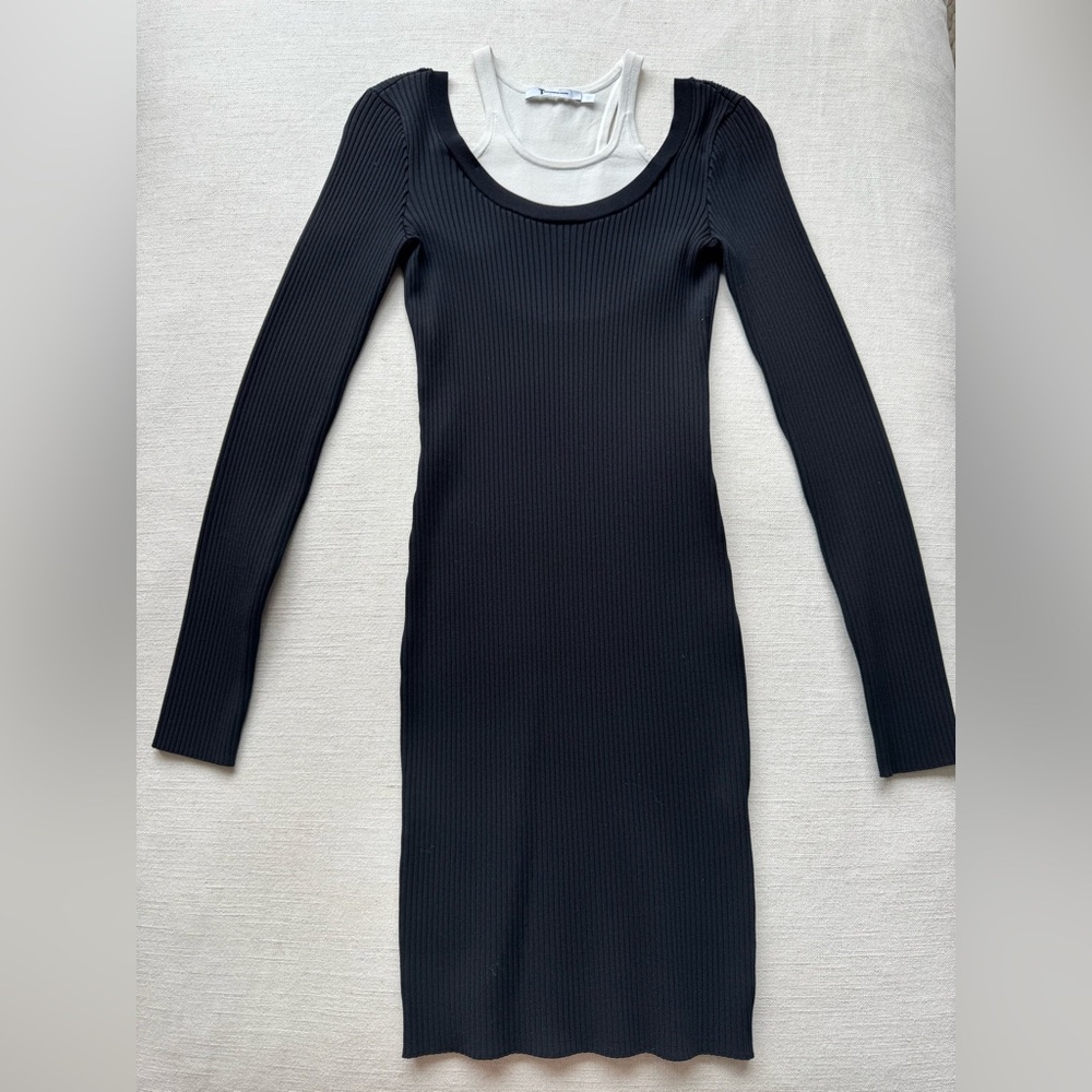 Alexander Wang Black Long Sleeve Dress